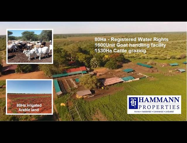 FARM FOR SALE IN WATERPOORT